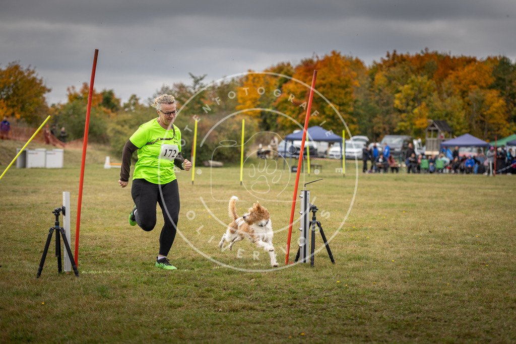 Pfotenfotografie_DV3A5923 | Hundefotografie, Tierfotograf, Pfotenfotografie, Fotoshooting Hund, Hunde Portrait, Hundesport, Hundeportraits, Heideshooting, Hunde, Sportfotograf, Hundefotograf, Turnierhundsport, THS,  - Realisiert mit Pictrs.com