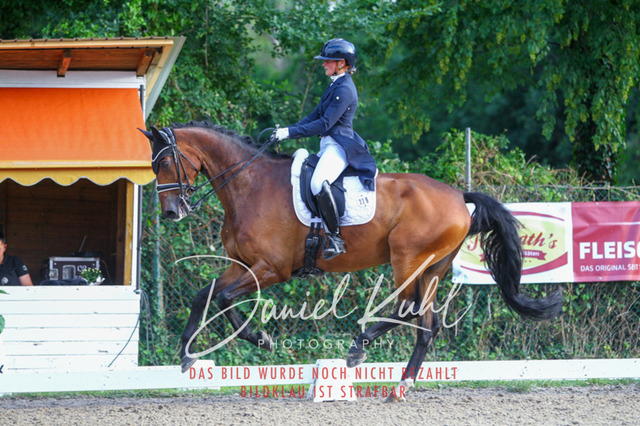 DKP41568 | Turniersportfotografie; Pferdefotografie; Dressurfotografie