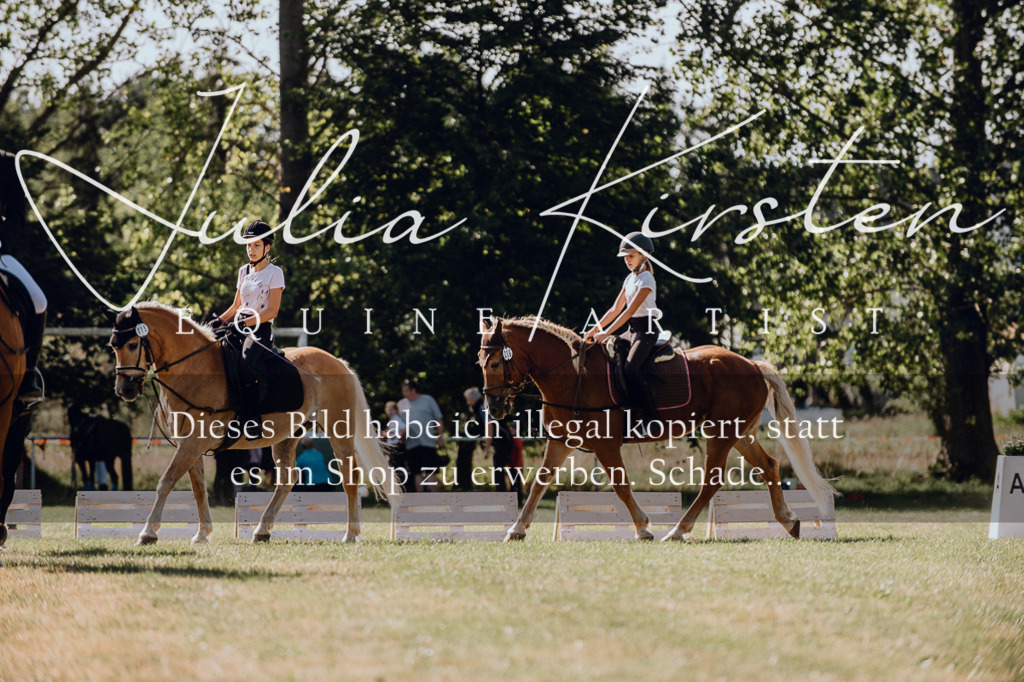 DSC_7224 | Pferde- und Turnierfotografie in Westsachsen. Pferdeportraits, Auftragszeichnungen und intuitive Kunst.