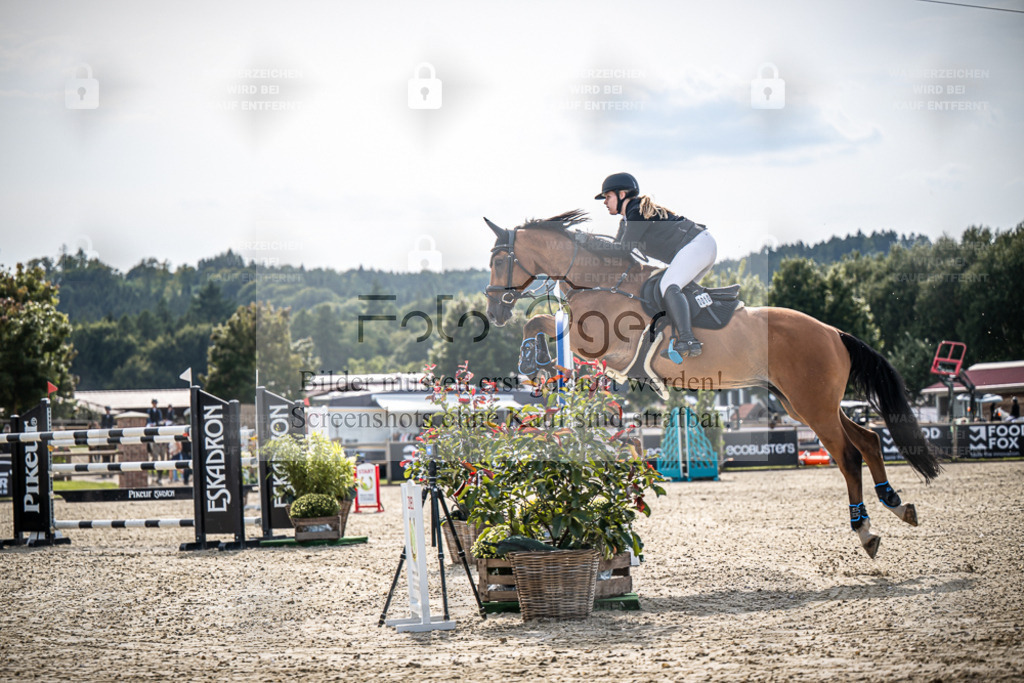 DOS_0647 | Entdecke hochwertige Reitturnierfotos von Foto Oger. Professionell, emotional und authentisch – jetzt Lieblingsmomente im Shop bestellen. - Realisiert mit Pictrs.com