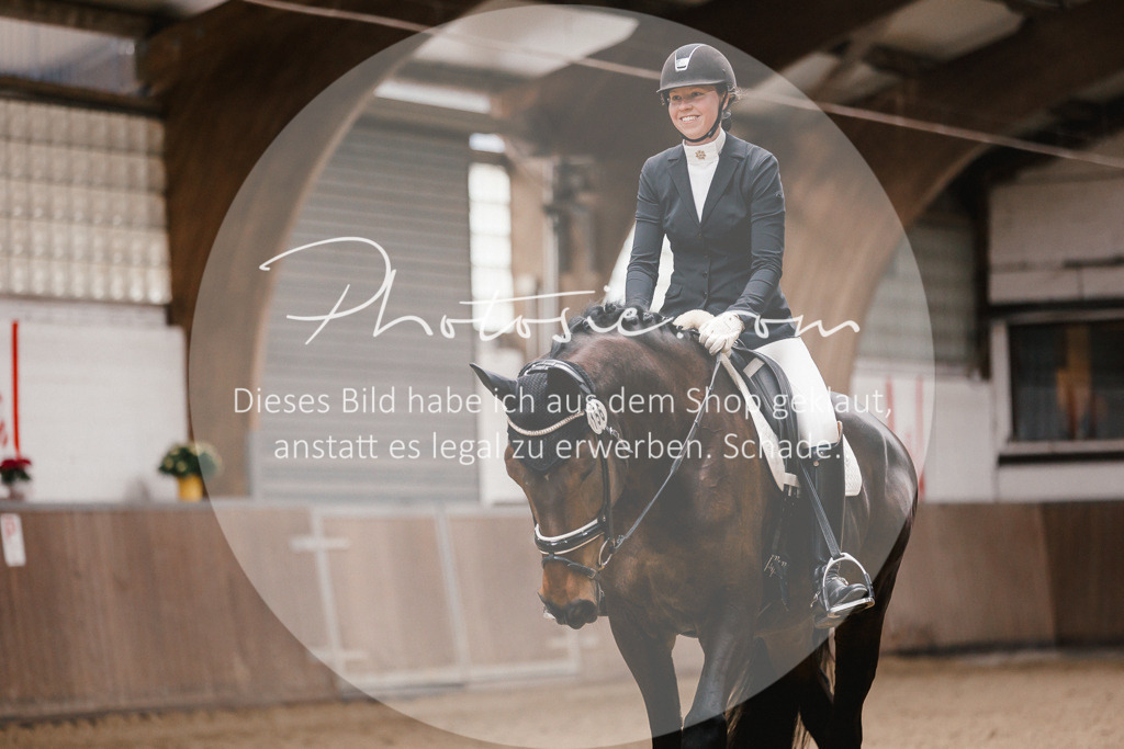 3I6A6803 | Stimmungsvolle Portraits und Reitsportfotografie im Ruhrgebiet und im Münsterland.

Pferdefotografie, Hundefotografie, Tierfotografie, Reportagen, Portraits von Tier und Mensch, Turnierfotografie in Bochum, Recklinghausen, Marl, Haltern am See, Dülmen.. - Realisiert mit Pictrs.com