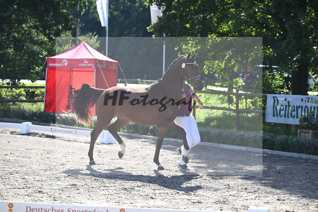 Kat-Nr. 17 Fine Cherie_Kohn_36230851 | hf-fotografie - Realisiert mit Pictrs.com