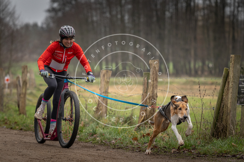 Pfotenfotografie_DV3A2102 | Hundefotografie, Tierfotograf, Pfotenfotografie, Fotoshooting Hund, Hunde Portrait, Hundesport, Hundeportraits, Heideshooting, Hunde, Sportfotograf, Hundefotograf, Turnierhundsport, THS,  - Realisiert mit Pictrs.com