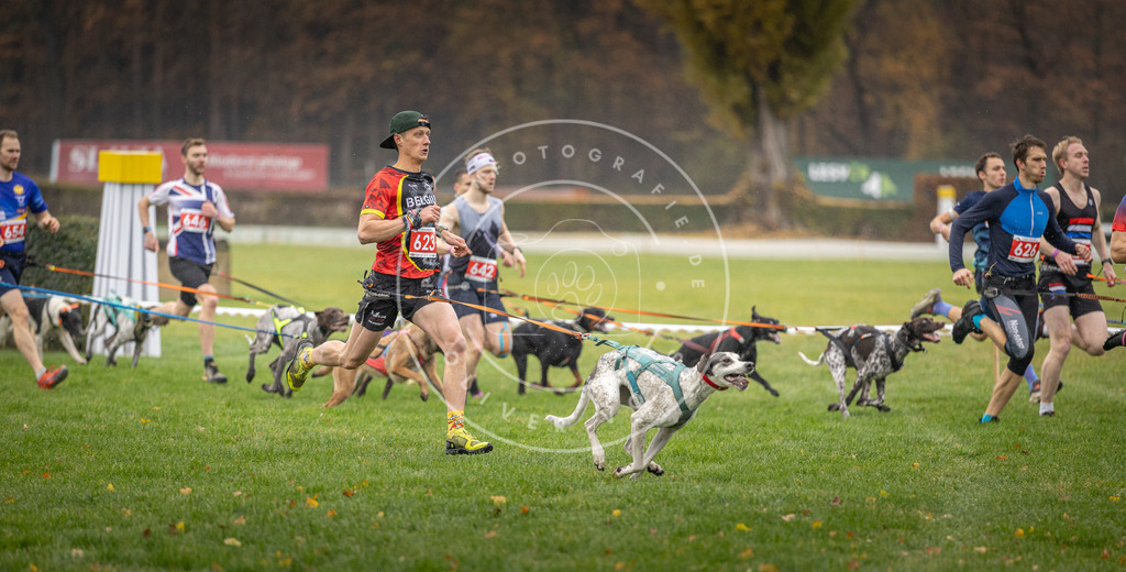 CaniXpix_DV3A9476 | Hundefotografie, Tierfotograf, Pfotenfotografie, Fotoshooting Hund, Hunde Portrait, Hundesport, Hundeportraits, Heideshooting, Hunde, Sportfotograf, Hundefotograf, Turnierhundsport, THS,  - Realisiert mit Pictrs.com