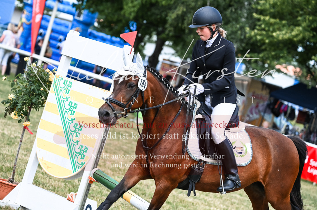 DSC_9791 | Pferde- und Turnierfotografie in Westsachsen. Pferdeportraits, Auftragszeichnungen und intuitive Kunst.