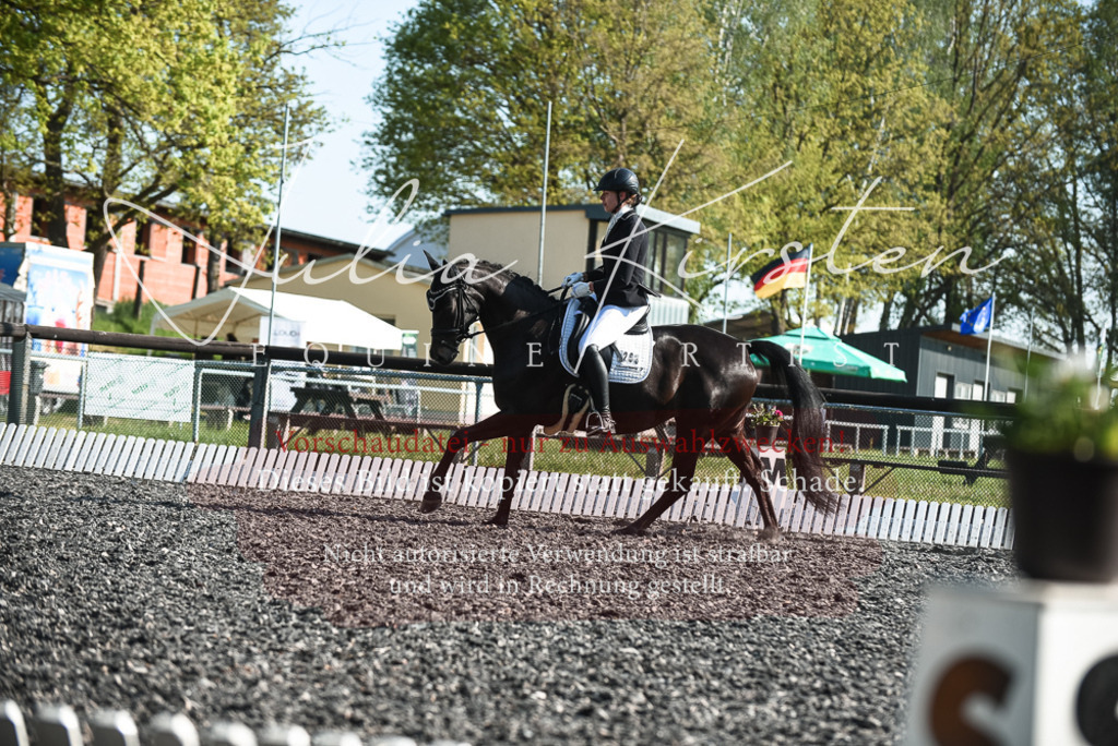 DSC_8382 | Pferde- und Turnierfotografie in Westsachsen. Pferdeportraits, Auftragszeichnungen und intuitive Kunst.