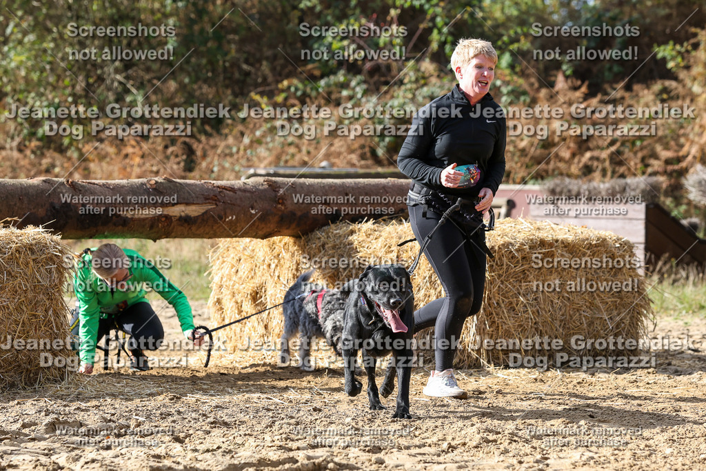 Dog Paparazzi - Strongdog 10-25-5254 | Dog Paparazzi Jeanette Grottendiek Fotografie & Videografie - Realisiert mit Pictrs.com