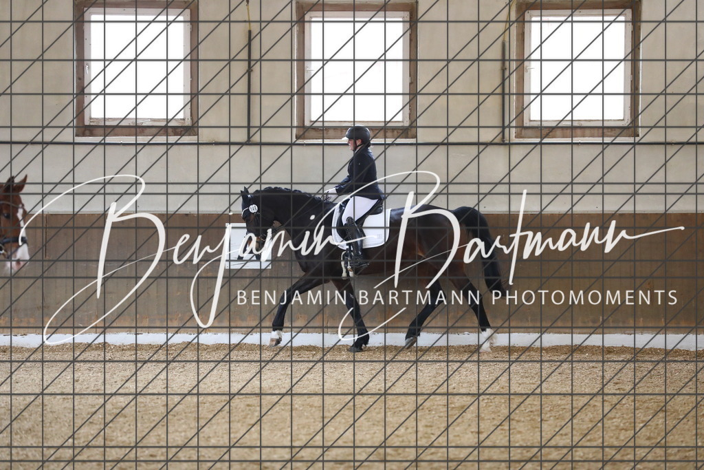 AZ2A0931 | Benjamin Bartmann Photomoments