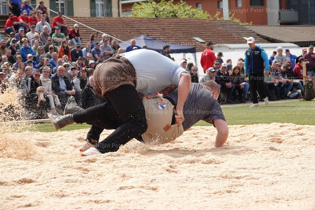 DSC03642 | Schwingen - Realisiert mit Pictrs.com