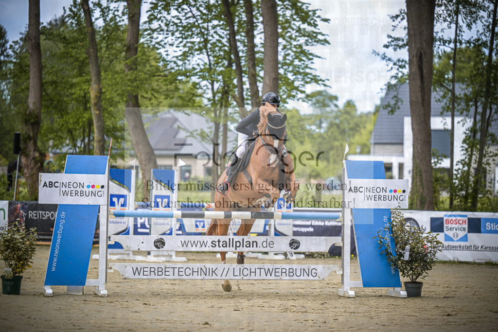 DOS_8159 | Entdecke hochwertige Reitturnierfotos von Foto Oger. Professionell, emotional und authentisch – jetzt Lieblingsmomente im Shop bestellen.Deutschlandweite Turnierfotografie. - Realisiert mit Pictrs.com