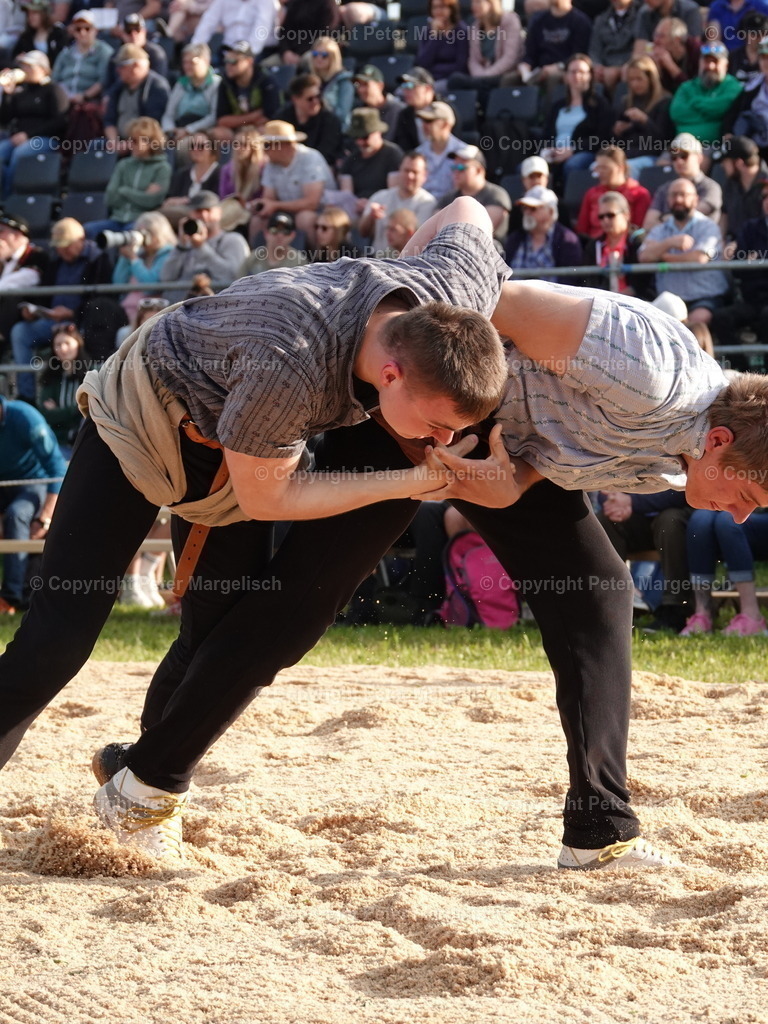 DSC06603 | Schwingen - Realisiert mit Pictrs.com