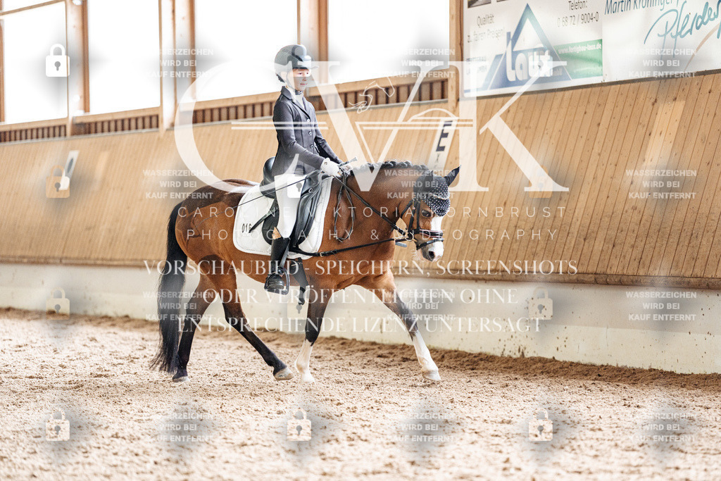 CK901409 | Turnierfotografie Pferdefotografie Trier Rheinland-Pfalz Pferdesport Reitsport Tierfotografie Sportfotografie Pferdevideo Pferdevideografie Equestrianvideography equestrianphotography  - Realisiert mit Pictrs.com