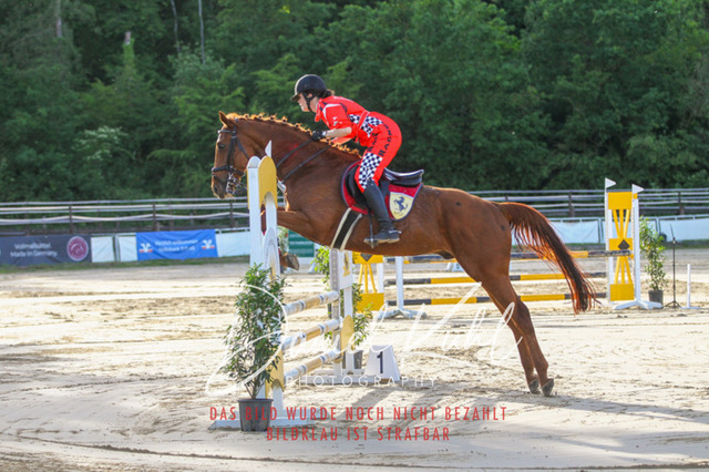 DKP45138 | Turnierfotos kaufen im Webshop von Daniel Kuhl Photography – entdecke professionelle Reitsportfotos aus Turnieren & Events. Hochwertige Turnierbilder online bestellen & sichern. Jetzt Fotos von Reitsportturnieren kaufen!