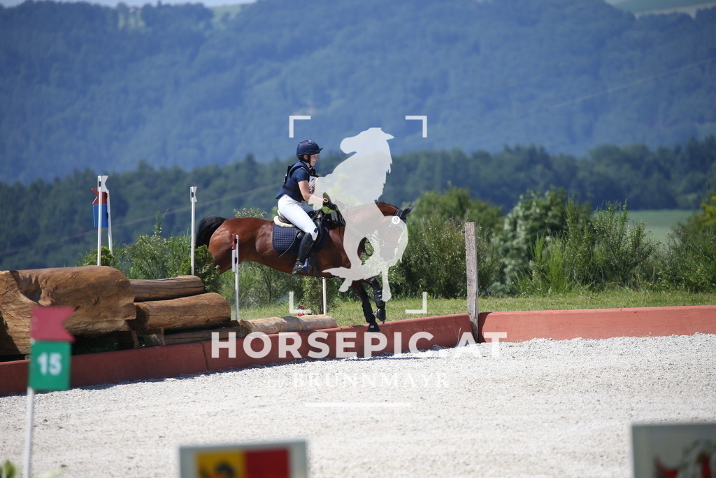 DL2Q0354 | Willkommen bei Brunnmayr - Design & Fotografie – Ihrem Spezialisten für Reitturniere und Pferdeveranstaltungen in Oberösterreich, Salzburg und Bayern! Seit über 17 Jahren sind wir leidenschaftlich dabei.