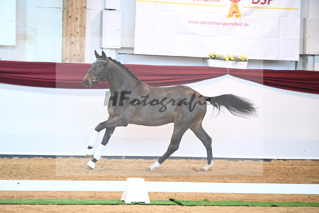 Kat-Nr. 43 v. Mykonos_Sommer_66220979 | hf-fotografie - Realisiert mit Pictrs.com