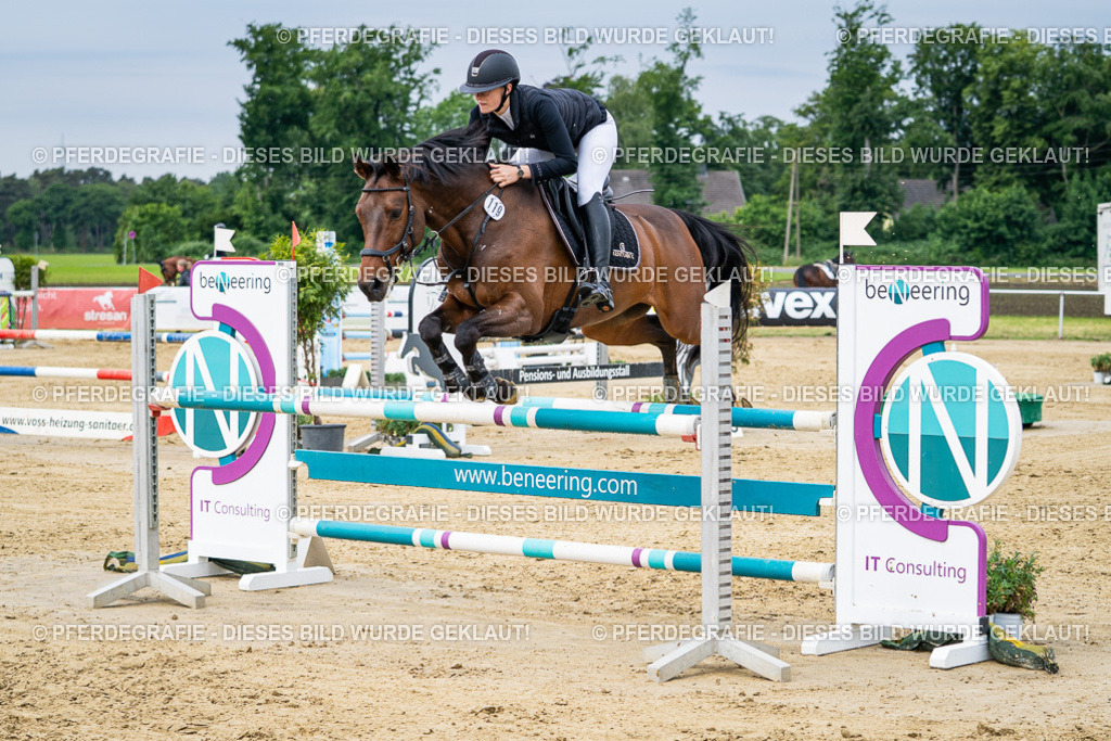 DSC05102 | Pferdegrafie