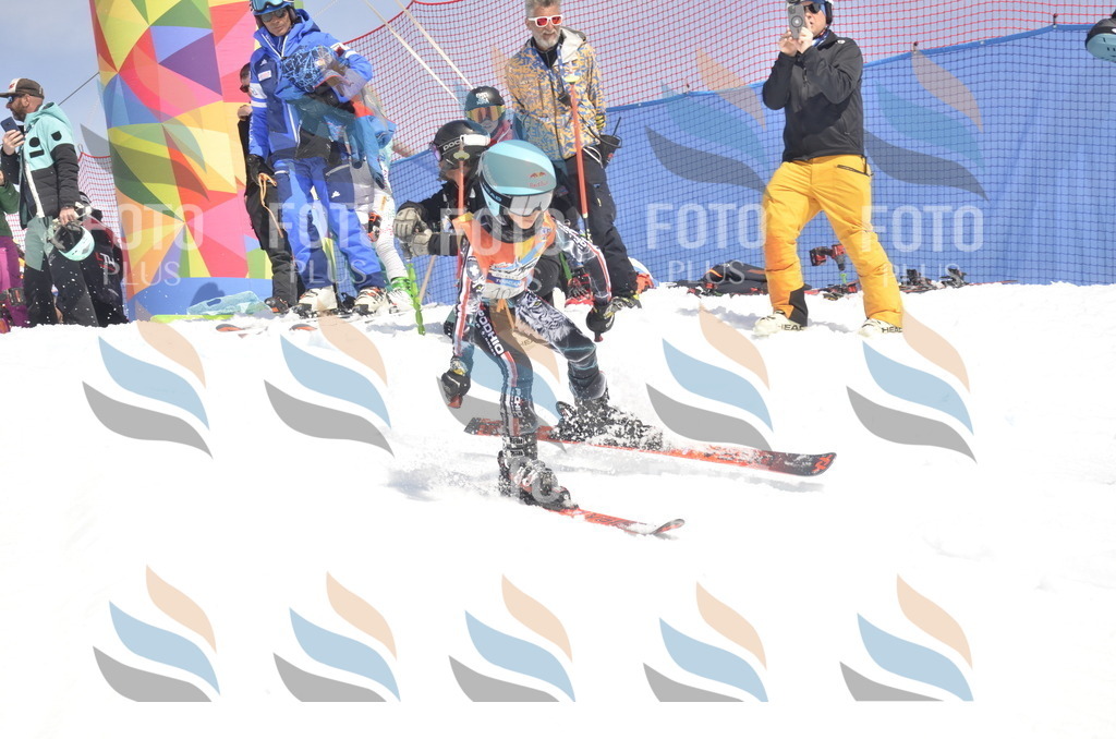 _ELE9376 | holidayphoto