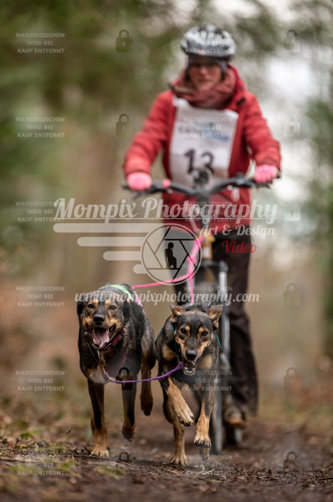 Reiat2023_SAM_DS2_8km_2H-7 | PayLife