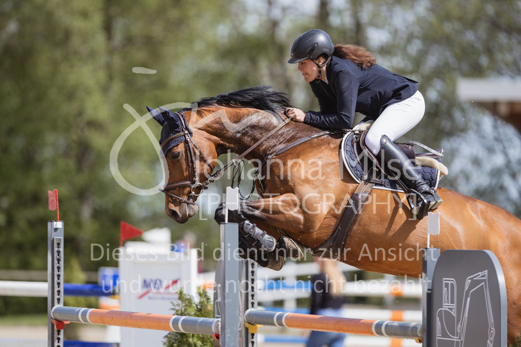 230501_SpengeW_M2St-117 | Deine schönsten Turniermomente als professionelle Fotos! Entdecke hochwertige Pferdesport-Fotografie im Online-Shop. Jetzt Fotos finden & bestellen!