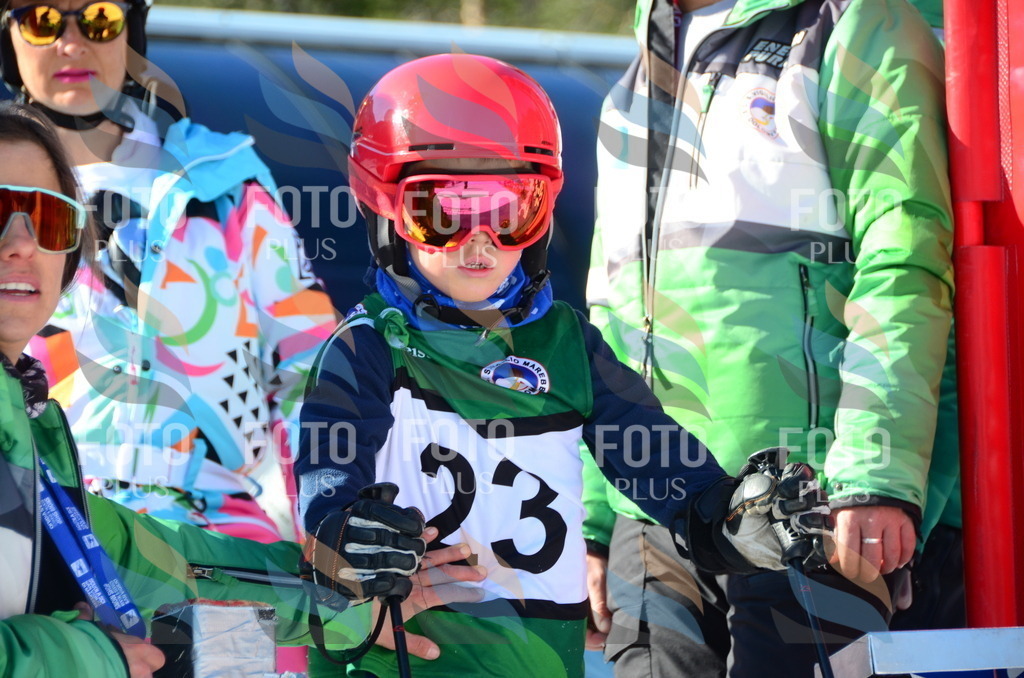 C4769 | holidayphoto