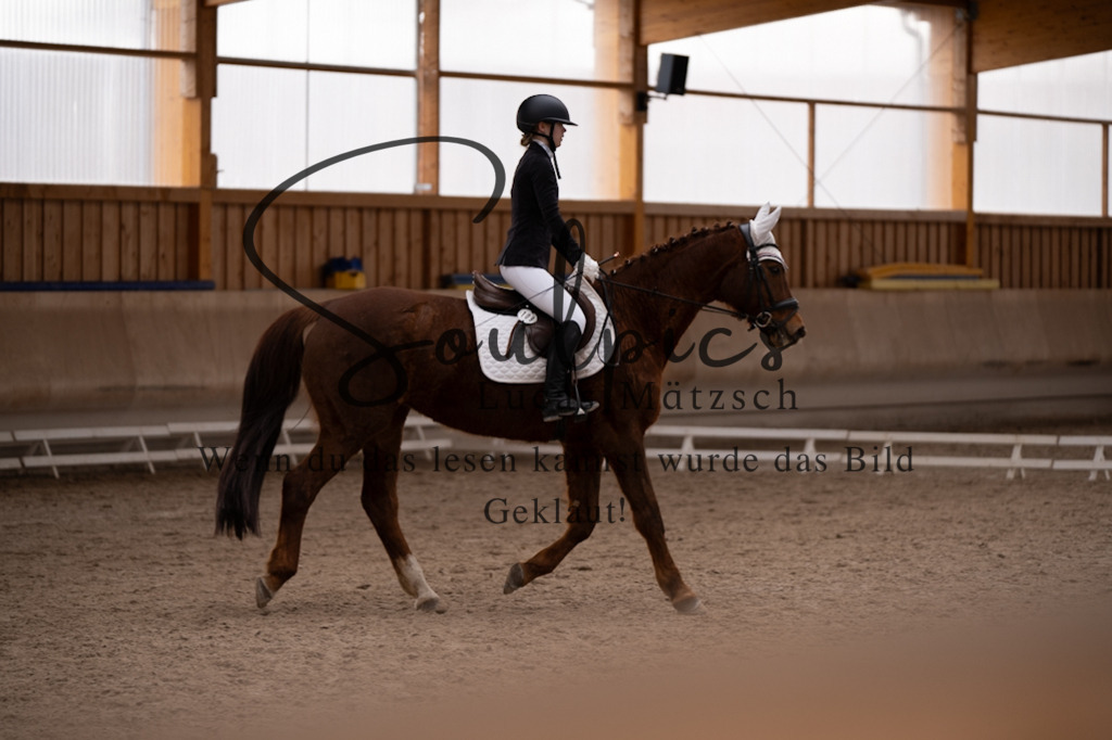 A7V09504 | Pferdefotograf