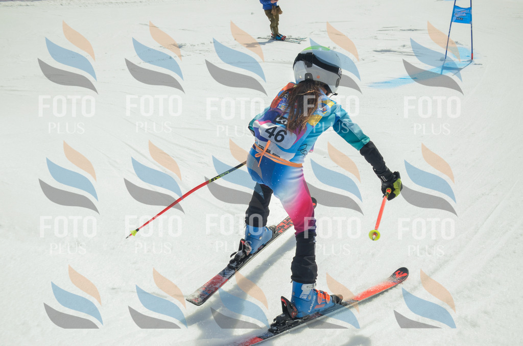 _ELE5132 | holidayphoto