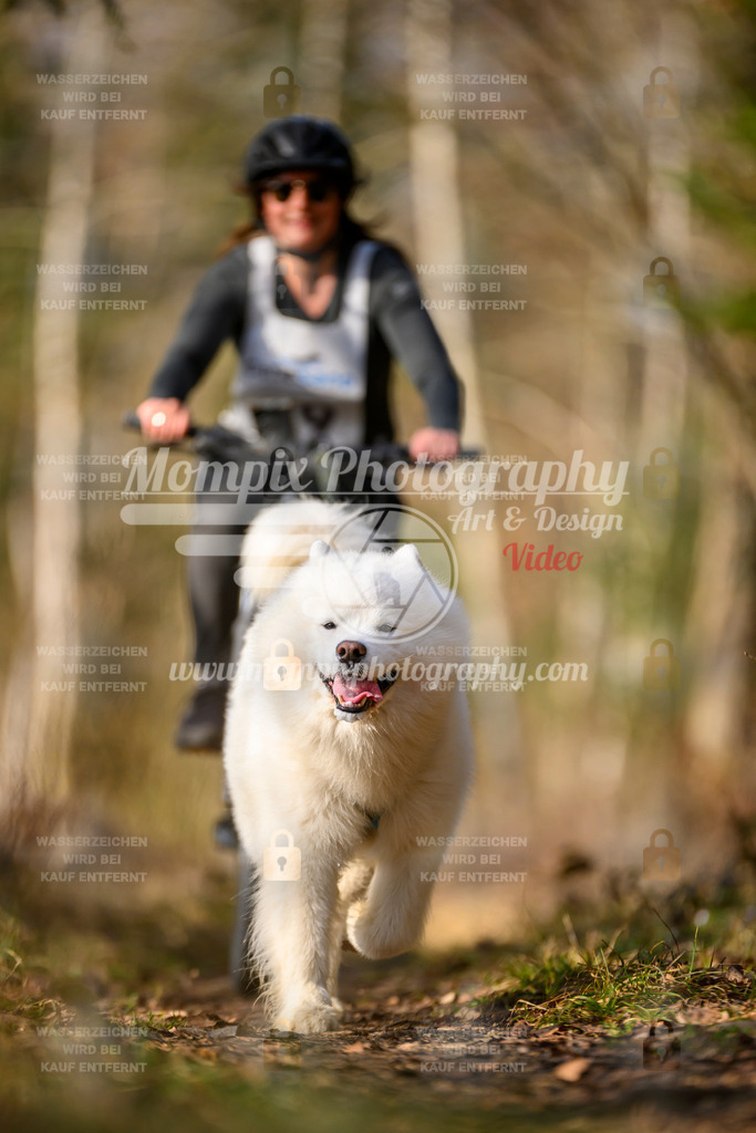 MompixPhotography_6ReiatRennen2026_SO_Bike-100 | PayLife