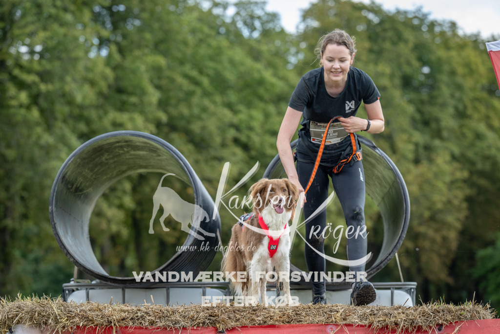 1022_ZZ91986 | kk-dogfotos