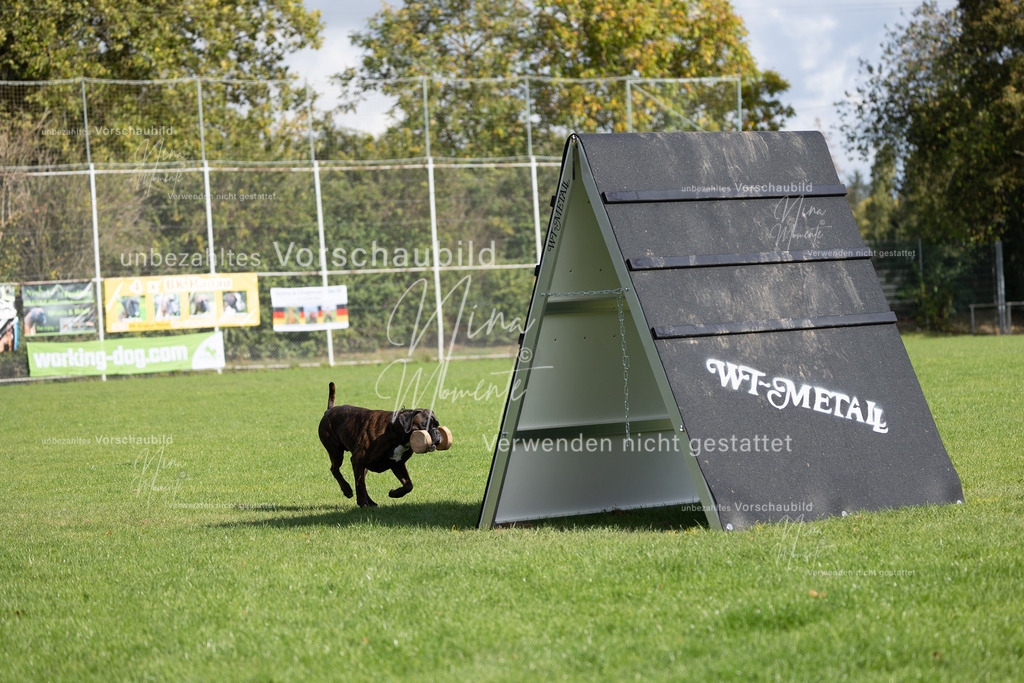 _16A6860 | Einzigartige Fotos von Hunden & Menschen –Actionfotos, Portraits, Vereinsaufnahmen & Paarshootings – authentisch, lebendig & mit Herz.