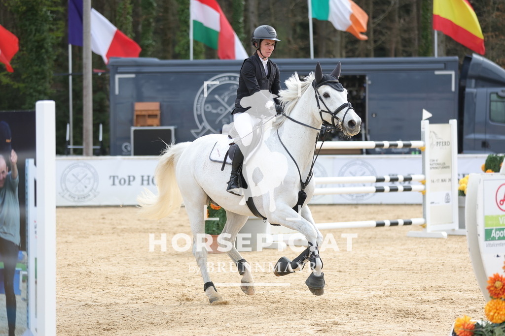 0P6A7081 | Willkommen bei Brunnmayr - Design & Fotografie – Ihrem Spezialisten für Reitturniere und Pferdeveranstaltungen in Oberösterreich, Salzburg und Bayern! Seit über 17 Jahren sind wir leidenschaftlich dabei.