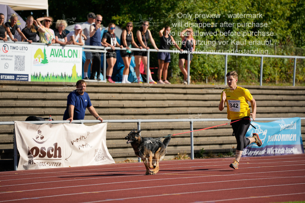 Sonntag_Staffel (23 von 336) | stephaniefillaphotographie - Realisiert mit Pictrs.com