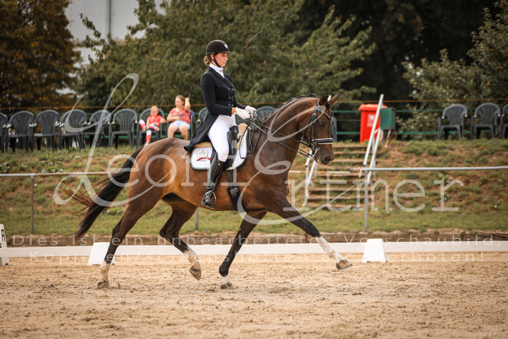 19.FrDrS00456 | Leoni Ertmer Photography - Realisiert mit Pictrs.com