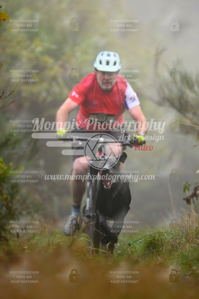 MompixPhotography_20TSB_E4_Bike-135 | PayLife