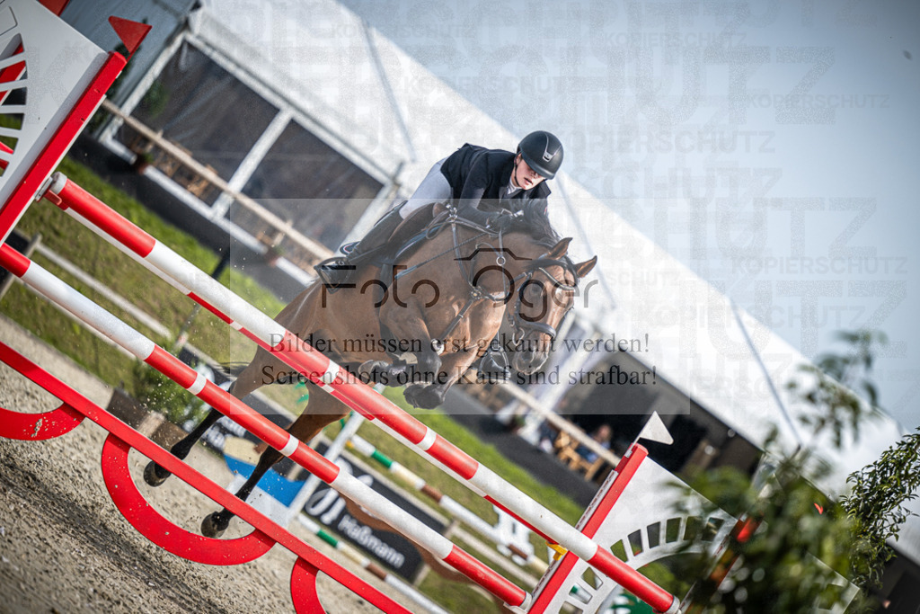 DOS_2174 | Entdecke hochwertige Reitturnierfotos von Foto Oger. Professionell, emotional und authentisch – jetzt Lieblingsmomente im Shop bestellen.Deutschlandweite Turnierfotografie. - Realisiert mit Pictrs.com