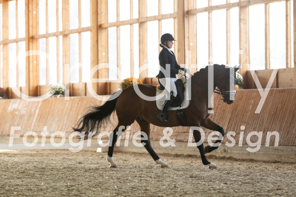 IMG_3982 | Creatify Fotografie