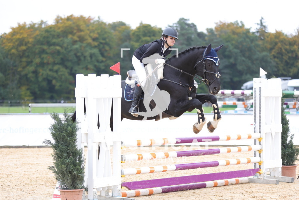 0P6A2188 | Willkommen bei Brunnmayr - Design & Fotografie – Ihrem Spezialisten für Reitturniere und Pferdeveranstaltungen in Oberösterreich, Salzburg und Bayern! Seit über 17 Jahren sind wir leidenschaftlich dabei.