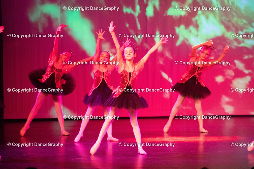 GPHY2172 | DanceGraphy - Realisiert mit Pictrs.com