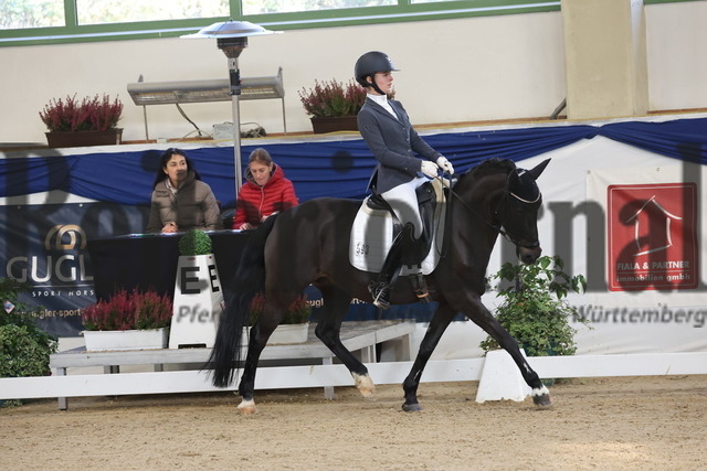 Ising_2025_Prfg.Nr.20_Pony-Dressurprfg.Kl.L_Kür_Emilia Arenz_Püppi de Luxe 2 (5) | Alle Fotos der Reiterjournal Fotografin Doris Matthaes im Reiterjournal Online-Fotoshop. - Realisiert mit Pictrs.com