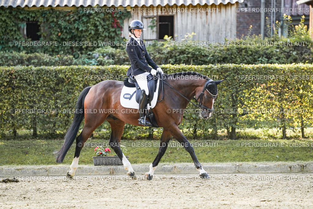 DSC05156 | Pferdegrafie