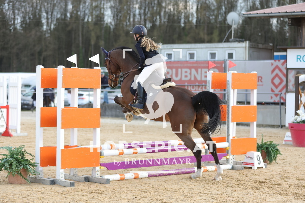 0P6A8903 | Willkommen bei Brunnmayr - Design & Fotografie – Ihrem Spezialisten für Reitturniere und Pferdeveranstaltungen in Oberösterreich, Salzburg und Bayern! Seit über 17 Jahren sind wir leidenschaftlich dabei.
