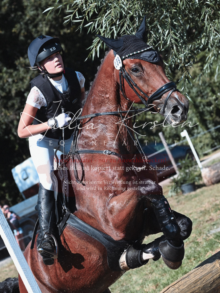 DSC_8611 | Pferde- und Turnierfotografie in Westsachsen. Pferdeportraits, Auftragszeichnungen und intuitive Kunst.