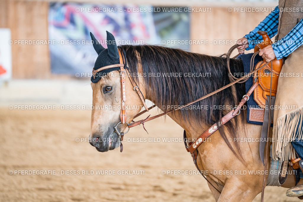 DSC08217 | Pferdegrafie