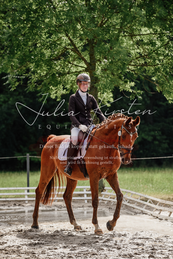 DSC_9658 | Pferde- und Turnierfotografie in Westsachsen. Pferdeportraits, Auftragszeichnungen und intuitive Kunst.