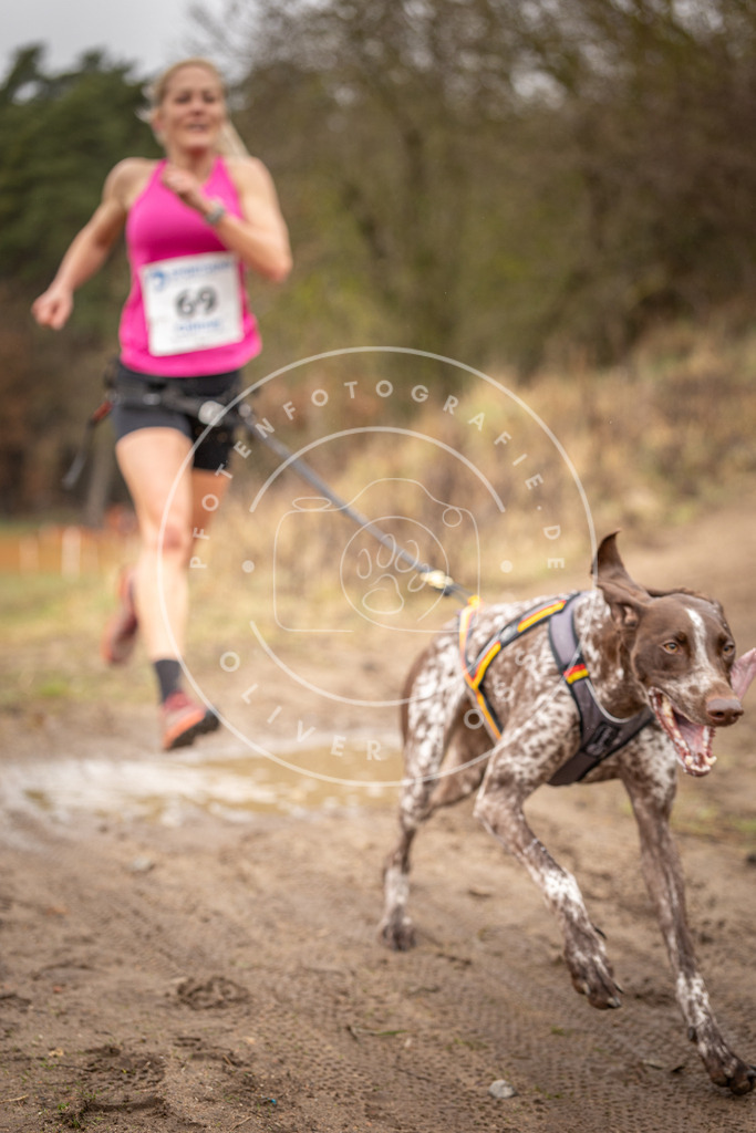 DV3A0133 | Hundefotografie, Tierfotograf, Pfotenfotografie, Fotoshooting Hund, Hunde Portrait, Hundesport, Hundeportraits, Heideshooting, Hunde, Sportfotograf, Hundefotograf, Turnierhundsport, THS,  - Realisiert mit Pictrs.com