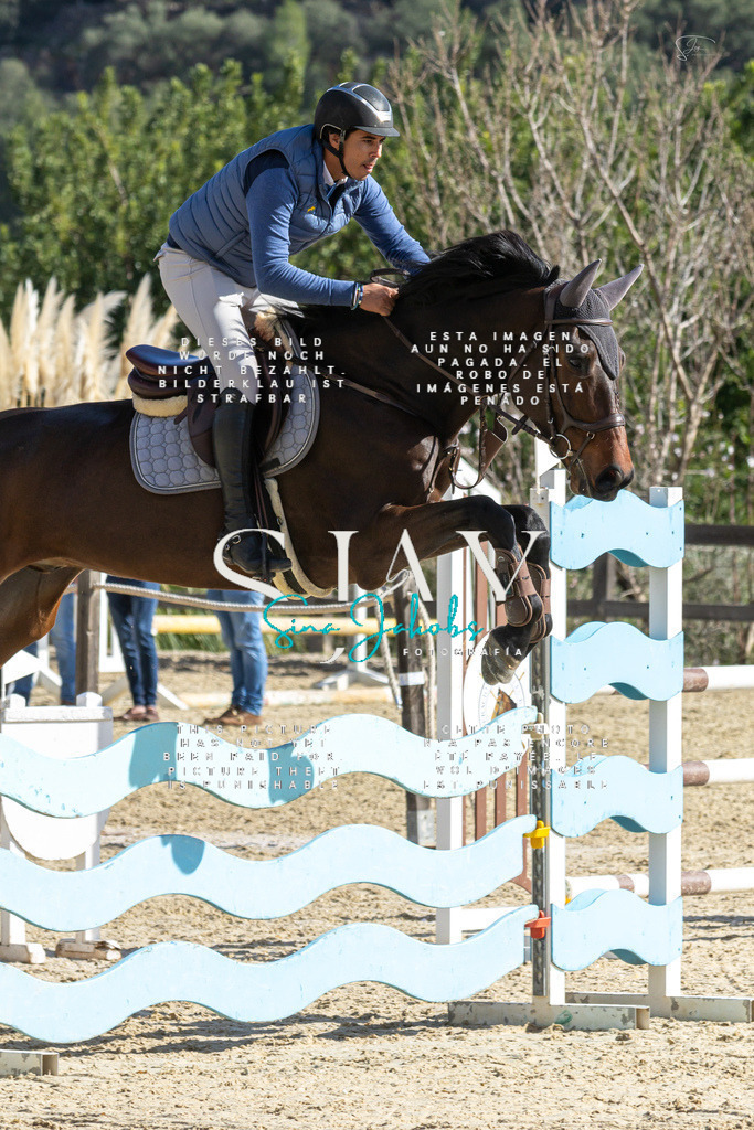 IMG_3991 | s-jay-photography - Realisiert mit Pictrs.com