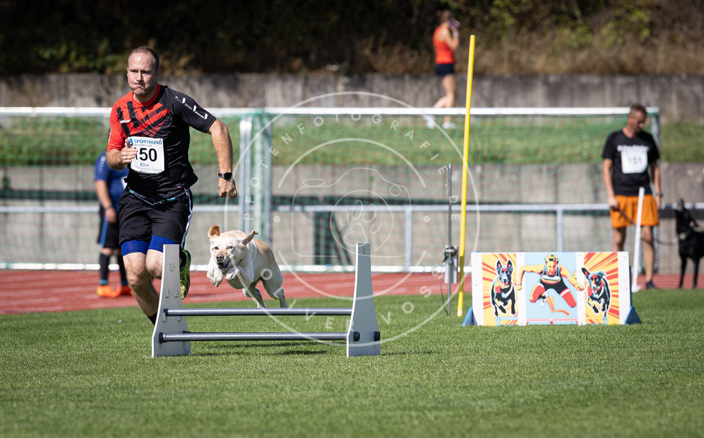 Pfotenfotografie_DV3A9340 | Hundefotografie, Tierfotograf, Pfotenfotografie, Fotoshooting Hund, Hunde Portrait, Hundesport, Hundeportraits, Heideshooting, Hunde, Sportfotograf, Hundefotograf, Turnierhundsport, THS,  - Realisiert mit Pictrs.com