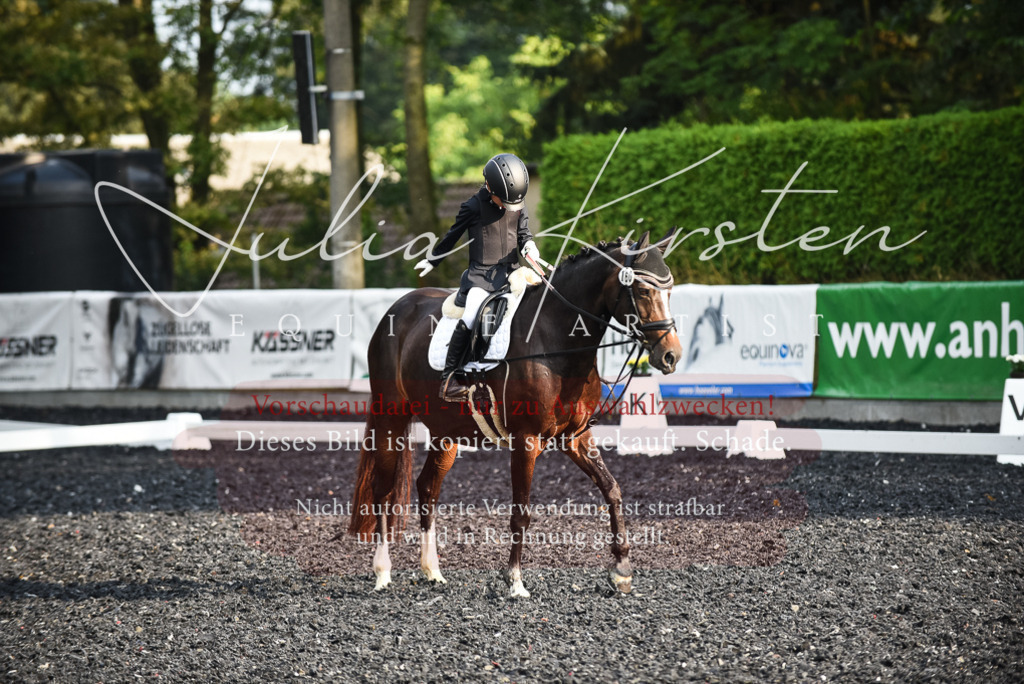 DSC_3545 | Pferde- und Turnierfotografie in Westsachsen. Pferdeportraits, Auftragszeichnungen und intuitive Kunst.