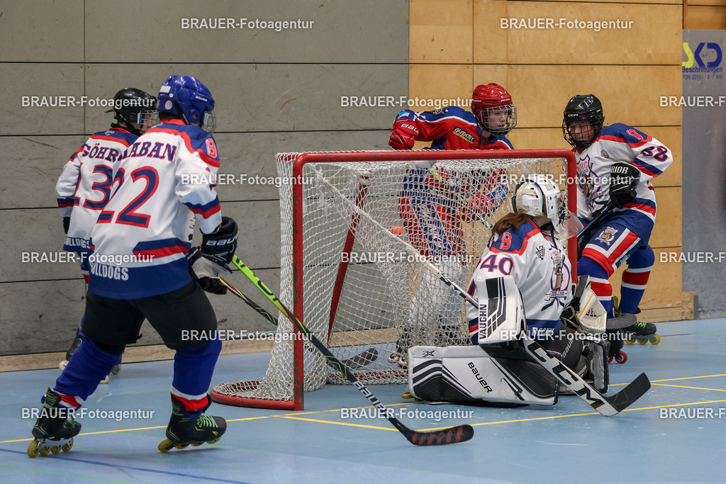 Bockumer Bulldogs Jugend - Monheim Skunks Jugend | 



05.11.1012 Bockumer Bulldogs Jugend - Monheim Skunks Jugend

(Foto von Michael Adler)

