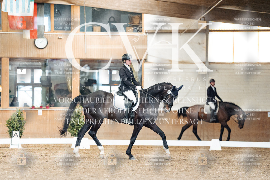 CK901218 | Turnierfotografie Pferdefotografie Trier Rheinland-Pfalz Pferdesport Reitsport Tierfotografie Sportfotografie Pferdevideo Pferdevideografie Equestrianvideography equestrianphotography  - Realisiert mit Pictrs.com