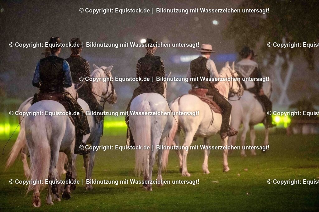 20250606_Lange-Pferdenacht_1168 | Foto: Thomas Hartig